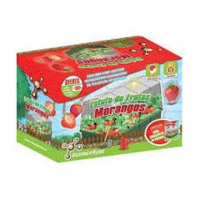 SCIENCE4YOU Estufa de Frutas Morangos