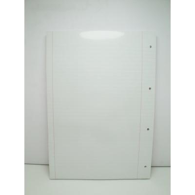 Recarga A4 100/100 pautada