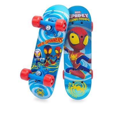 Skateboard 17