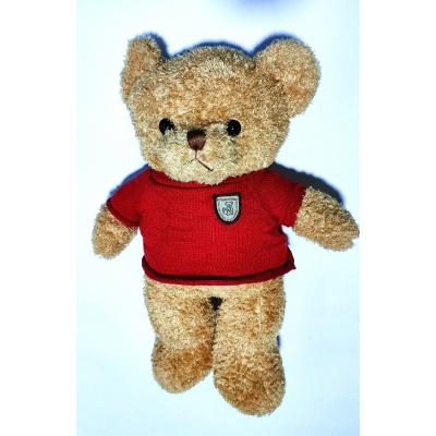 Peluche Urso C/ Roupa Taidi 55 cm
