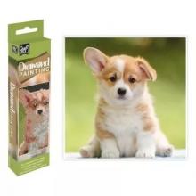 Kit de Pintura com Diamantes Cão Bebé — 20 × 20 cm