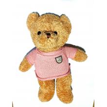 Urso com Roupa Taidi 55 cm