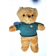 Urso com Roupa Taidi 55 cm