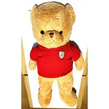 Urso com Roupa Taidi 1M