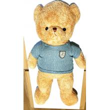 Urso com Roupa Taidi 1M