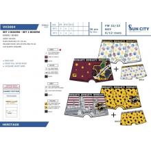 Lote 2 Boxers Harry Potter 95%CO/5%EA 6.8/8.10/10.12 — Pack de 10 unidades